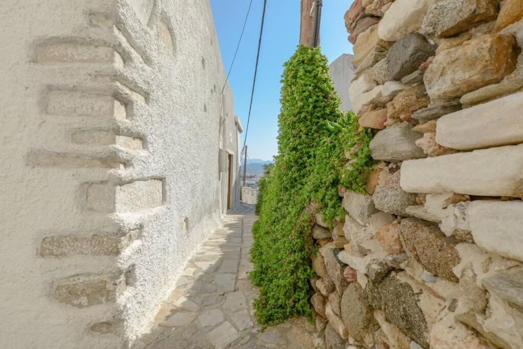 Traditional Castle House II Naxos City Εξωτερικό φωτογραφία